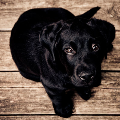 虚拟号码手机号发送平台