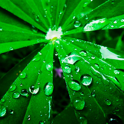 轰炸手机号信息软件免费版