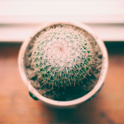 短信免费轰炸网页入口